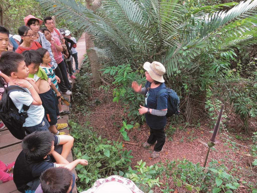 2 0 1 7 柴山祭系列活動