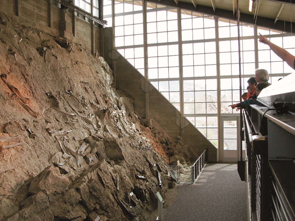 Fossil rock wall in Visitor Center of the Dinosaur National Monument,
USA (resource: Creative Commons, https://commons.wikimedia.org/
wiki/File%3ATourists_examine_Wall_of_Bones%2C_Dinosaur_National_
Monument%2C_Quarry_Building_2012.JPG)