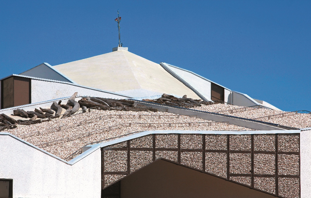 Roof layered with drift wood provides a small habitat for birds