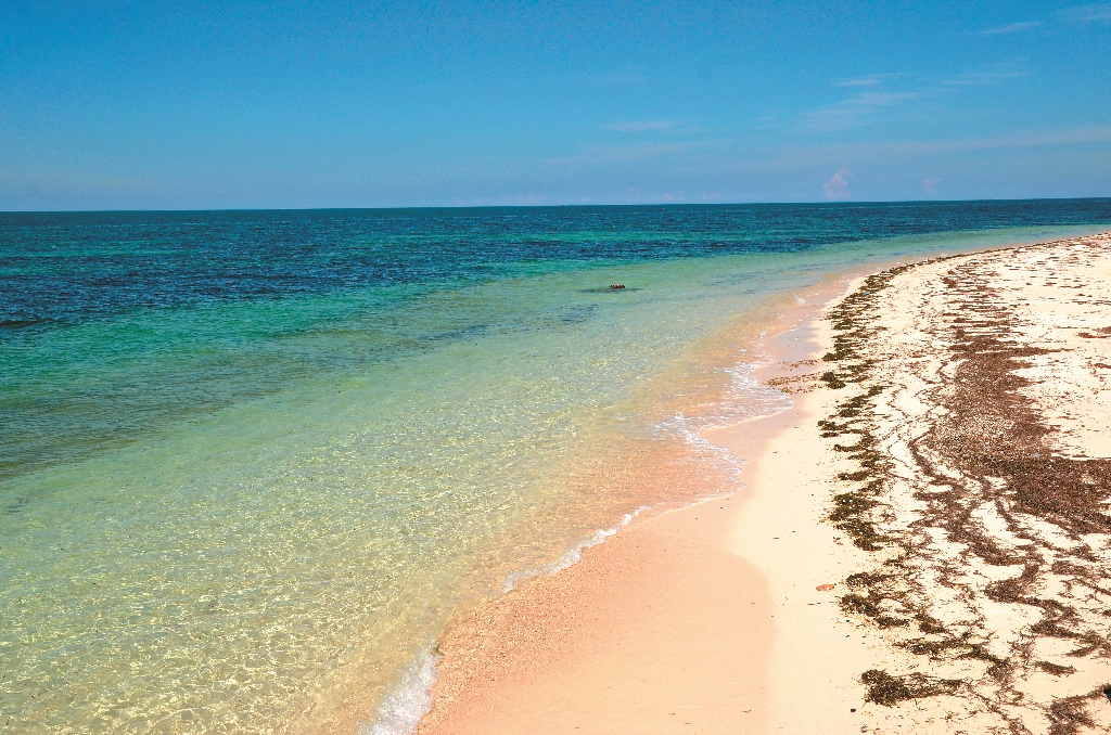 東沙島及其鄰近海域擁有得天獨厚的天然資源/ 柯耀源攝