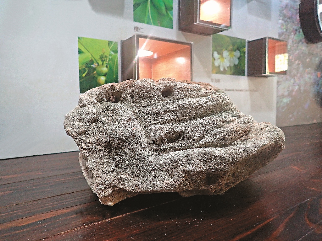 東沙島鳥糞磷礦 曾經在東沙島大量繁衍的白腹鰹鳥,從海中攝食魚類,由於鳥類無法消化魚體內磷的成分,遂以鳥糞的方式排出。