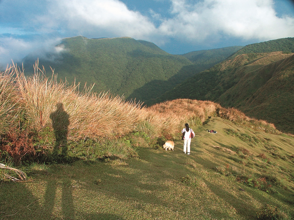 任寵物在野外環境中遊蕩,可能增加與野生動物接觸而相互傳染疾病的機會(圖中為錯誤行為)/江殷儒攝