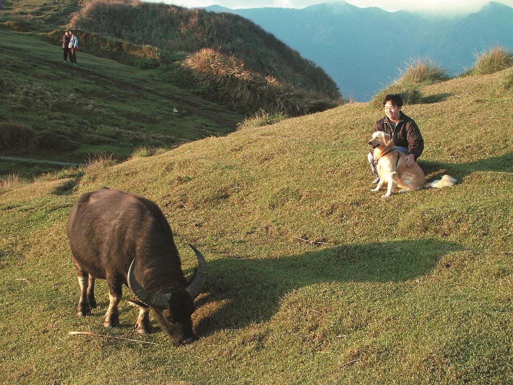 攜帶寵物進入國家公園時,應該確保寵物與原本活動在園中的動物保持距離(圖中為錯誤行為)/呂慧穎攝