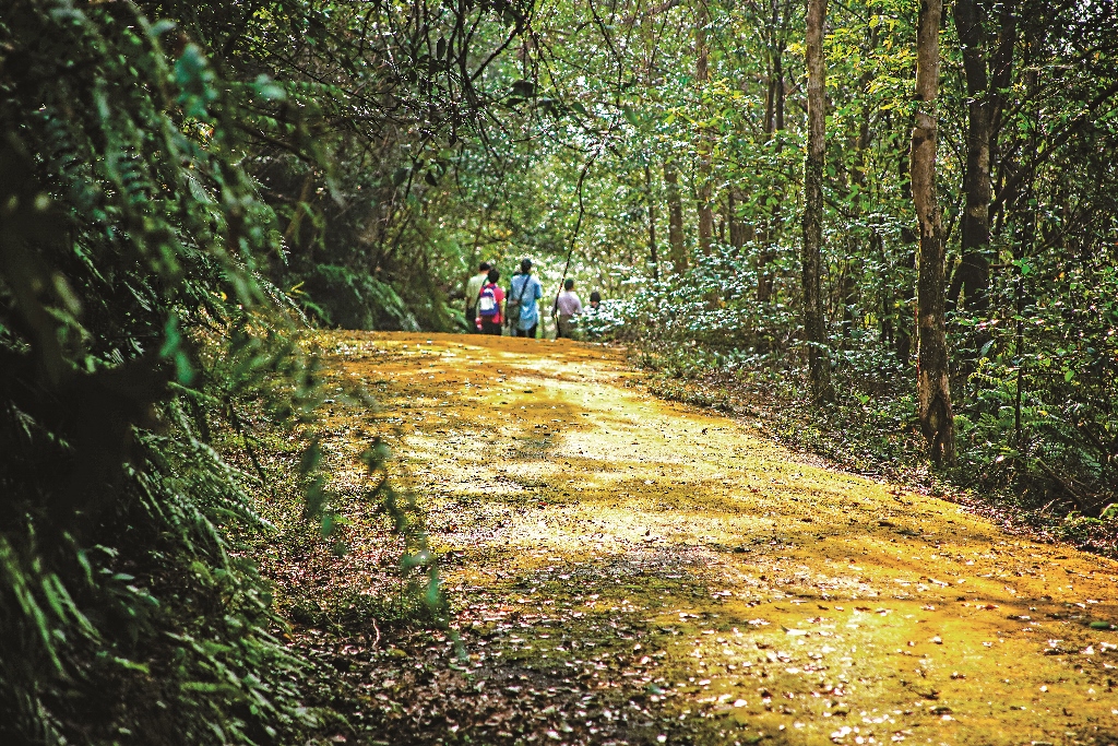 進入國家公園前,請詳查寵物入園相關規定,並善盡飼主的責任,保護您的寵物以及園內其他野生動物的健康與安全/楊懷智攝