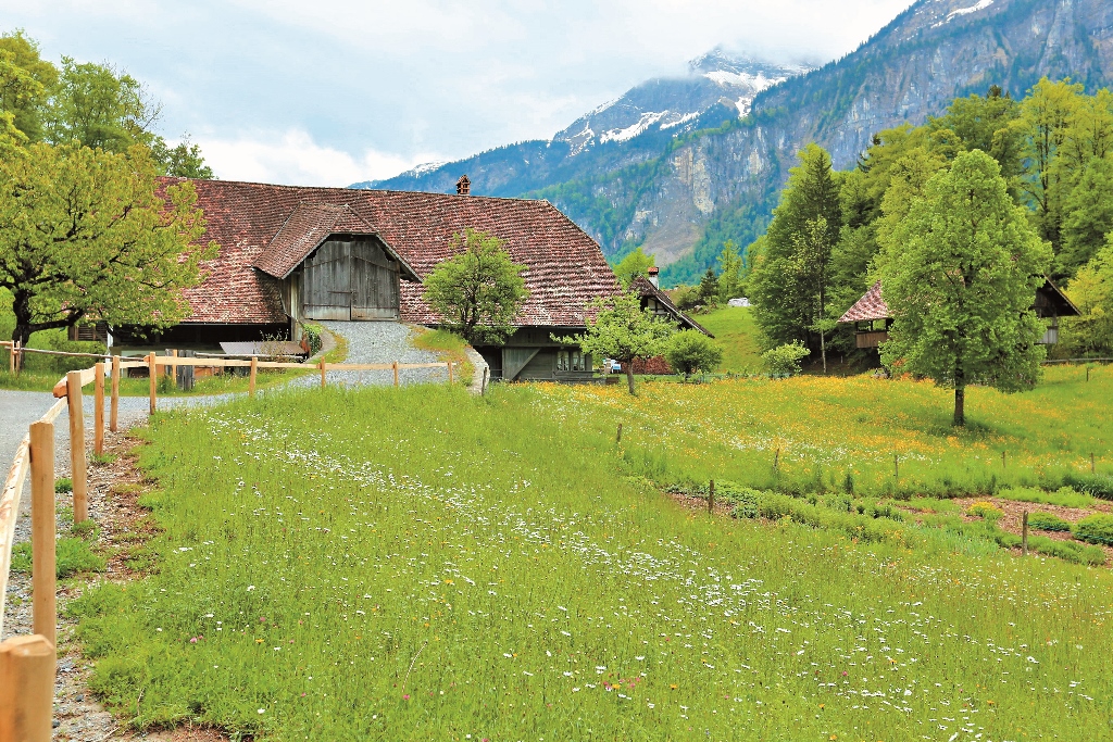 瑞士巴倫伯格戶外博物館是目前歐洲最大的異地建築群保存區