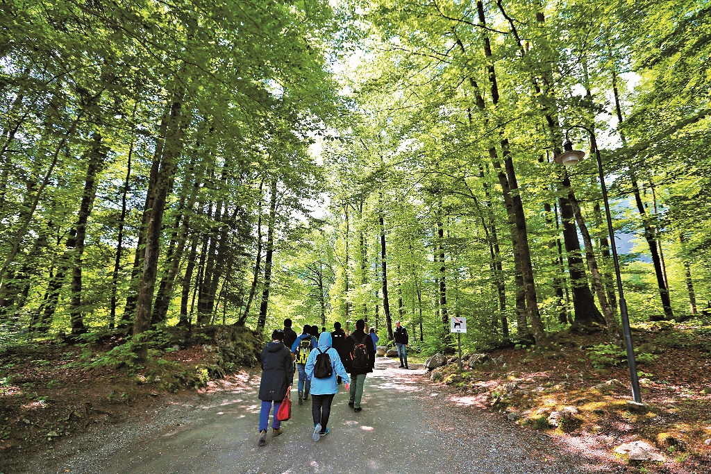 巴倫伯格戶外博物館占地66 公頃,不但有傳統建築的文化保存,更有豐富的戶外景觀