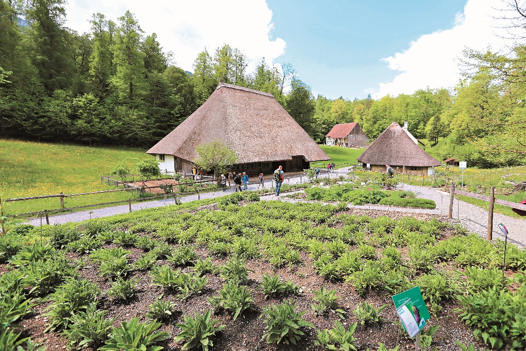 戶外花草植物園,讓遊客可以親眼看到原料與試聞各種天然味道