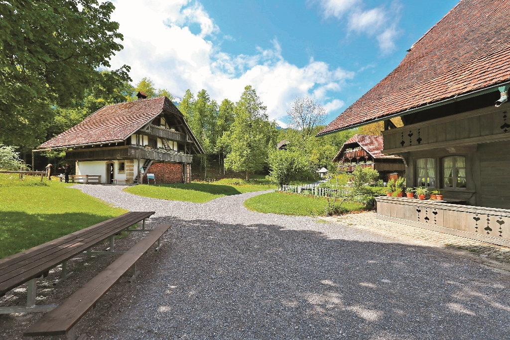 博物館設計了認養制度,園區中的動物、植物甚至是桌椅等設施物都開放認養