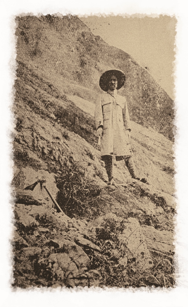 三角錐山大鞍部道路