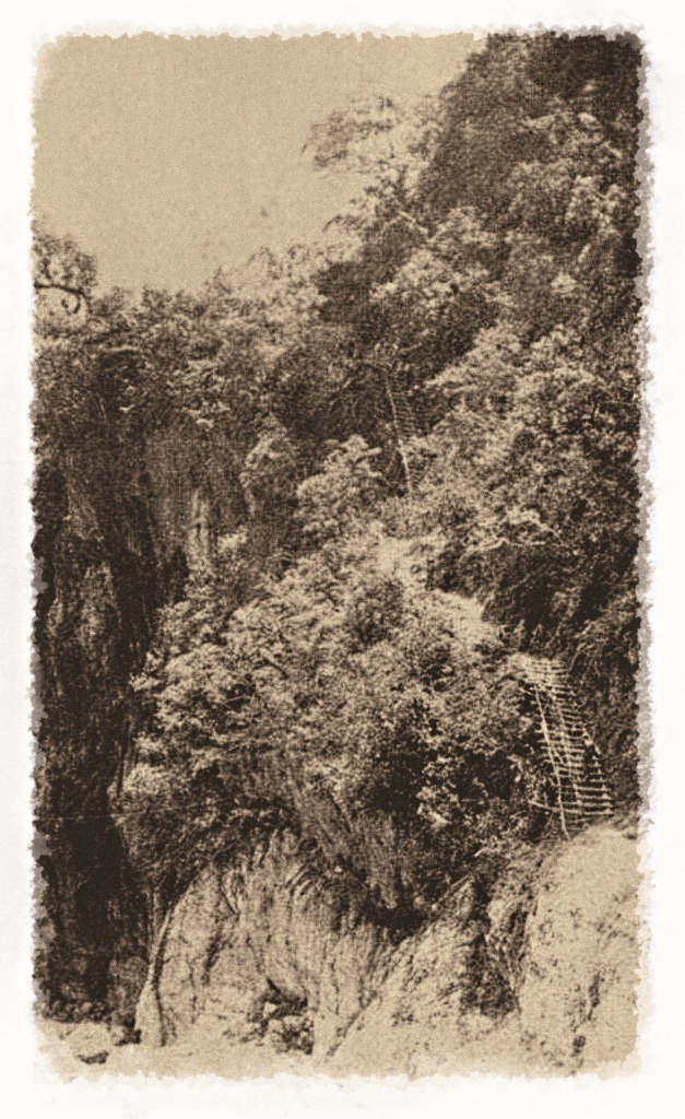 隘勇線攀登巴達岡