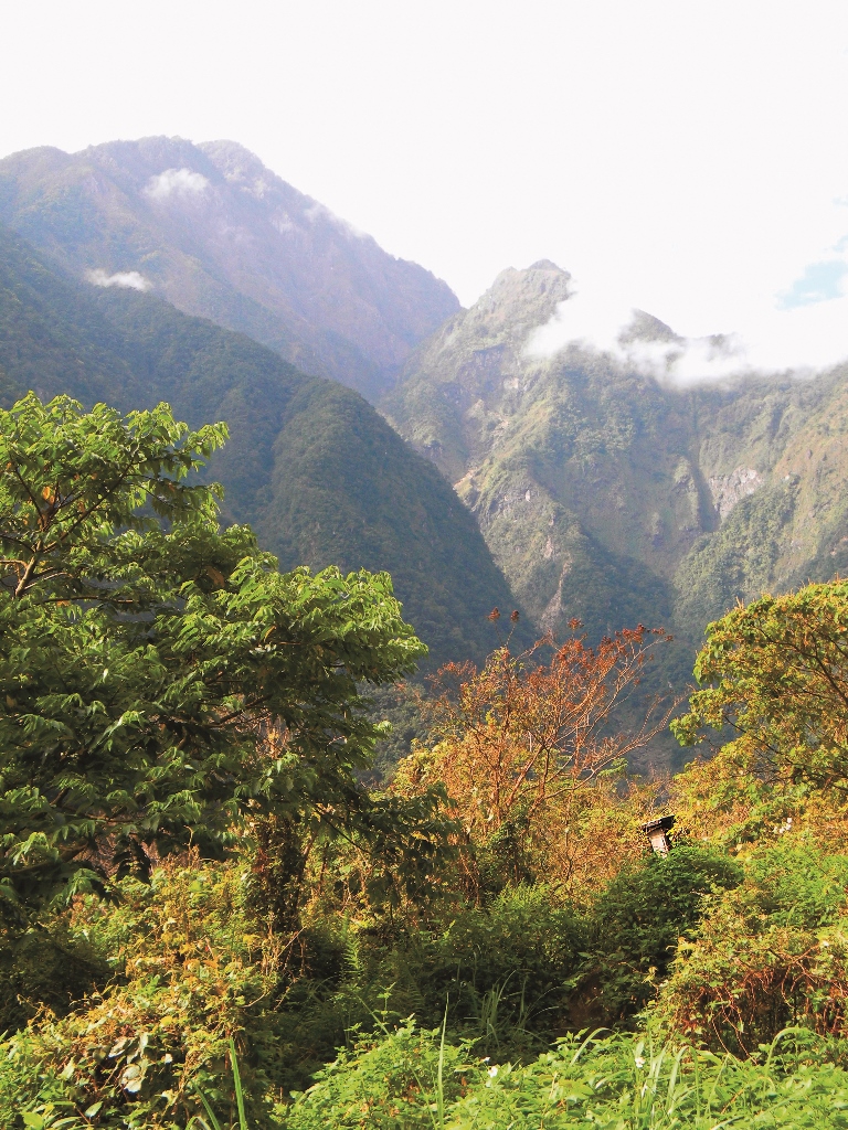 教育所荒廢門柱
