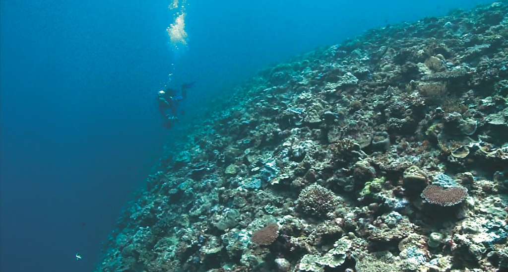 太平島北側珊瑚礁淺坪盡頭是垂直陡降50 公尺、累積數千年的珊瑚礁斷崖，讓海流改變流動方向