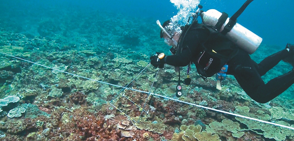 珊瑚礁覆蓋度測量