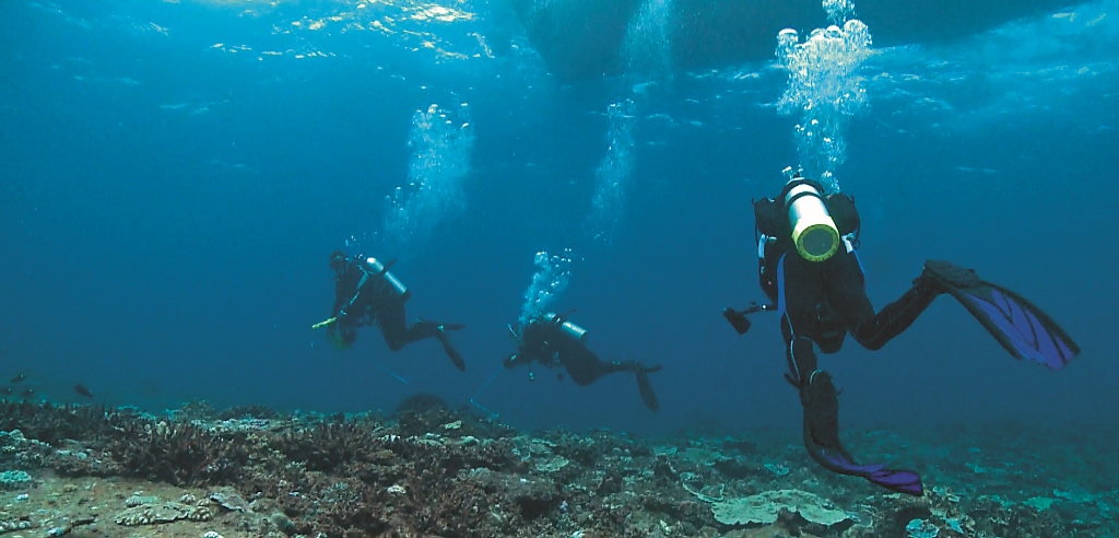 水下作業與拍攝工作仰賴直覺經驗和夥伴間的默契