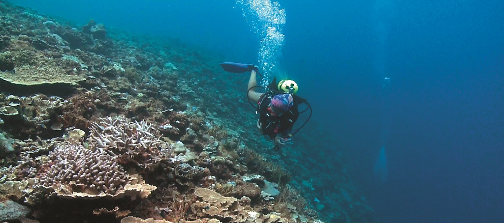 希望以更高解析度規格記錄太平島的生態的郭道仁，扛著攝影機再度出發了