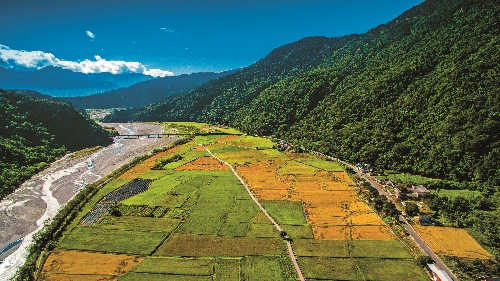 「玉山腳下的第一畝田」南安環境友善耕作／玉管處提供（楊湘文攝）