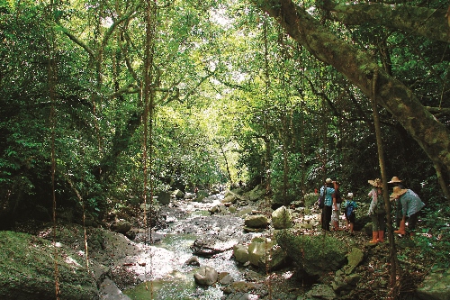 欖仁溪生態旅遊一探秘境生態