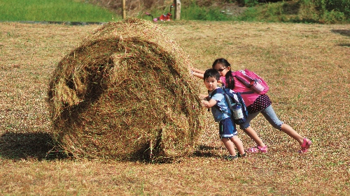 幼小的心靈中會烙印下那年里德牧草的觸覺和看見鷹群翱翔滿天 的記憶