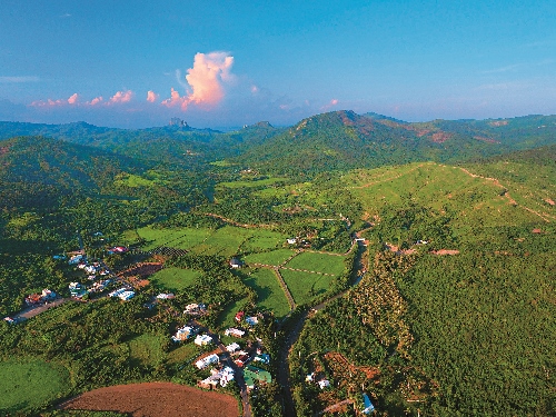 滿州谷地/陳忠能攝
