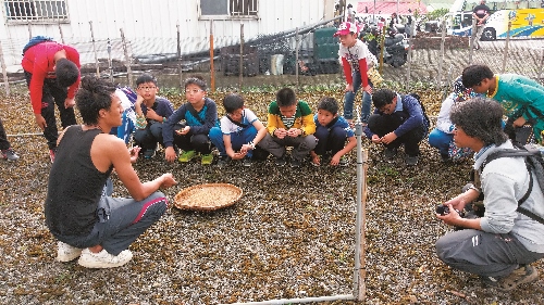 里德社區的返鄉青年為學子們解說「雨來菇」