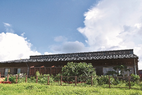 東吉遊客服務中心備勤室周邊綠化有成(2017 年)/朱巧雯攝