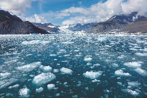 聯邦政府生計型自然資源使用管理計畫所劃分的採捕區,包含了水、陸、海域,規定區域以外則依照《阿拉斯加國有土地保育法》或其他 相關法令規定進行管理
