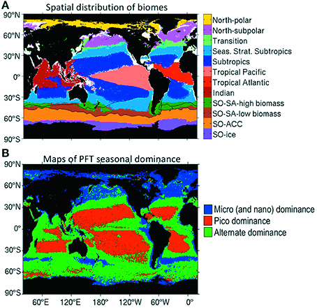上圖為浮游植物生物量空間分布 圖，下圖中藍色為以較大型（奈米 級以上）浮游植物為優勢的區域， 紅色為較小型（奈米級以下）浮游 植物為優勢的區域，綠色為兩者勢 均力敵的區域。