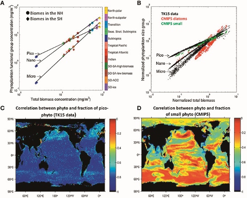 左下圖為總浮游植物生物量與奈米級以下之浮游 植物量的比例的相關性，藍色越深則相關性越高； 右下圖則為另一種分析模式下的產出圖。