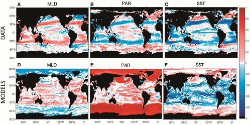 上排左圖為浮游植物生物量（取log10）與水深分層的相關 性；中圖為與光合作用有效輻射光的關聯性；右圖為與海 水表面溫度的關聯性。下排則為另一種分析模式下的產出