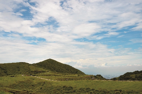 擎天崗大草原/陽管處提供(任台生攝)