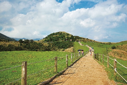 擎天崗步道/楊懷智攝