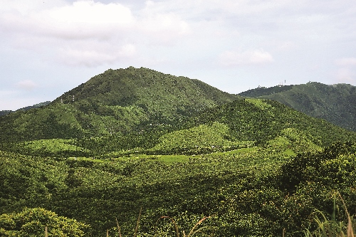 從石梯嶺遠望七星山、竹子山及擎天崗大草原/ Nancy Lai 攝