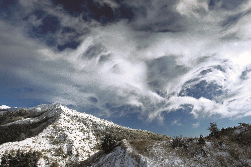 生態記錄者要能欣然接受大自然帶給你的無限驚喜