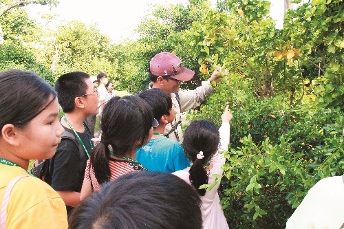 九九重陽登壽山