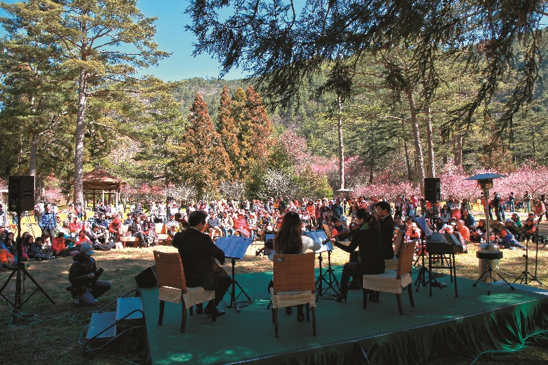 武陵戶外音樂會