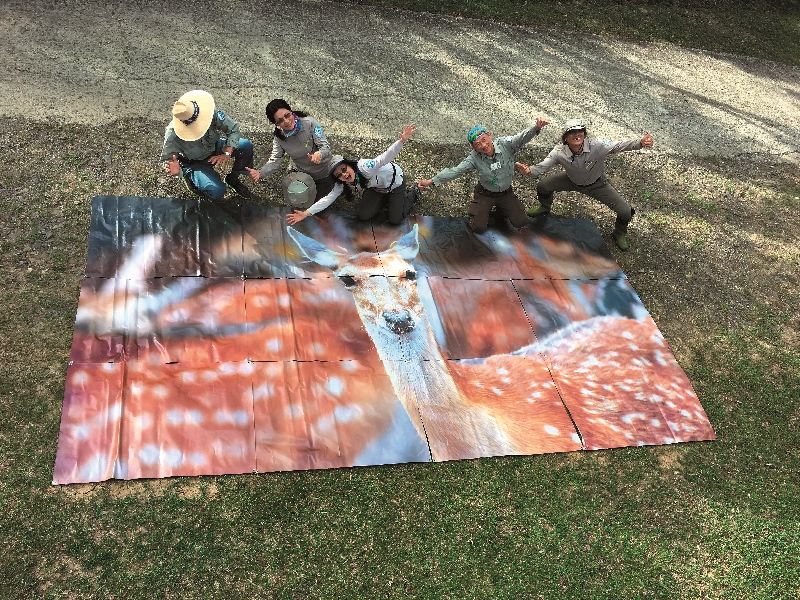 參與鹿境活動的志工們活力十足，帶領青少年深入梅花鹿的秘境／墾管處提供