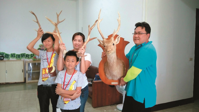 一家人的梅花鹿雄鹿體驗／墾管處提供