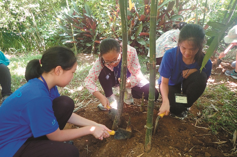 動手挖竹筍準備野炊食材／陽管處提供