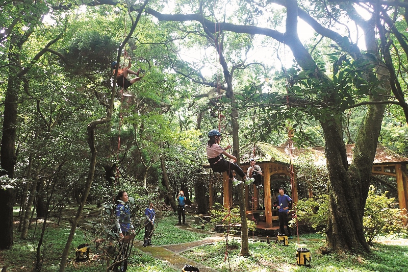 攀樹活動不僅學習技巧，更了解到樹冠層研究的不易 ／陽管處提供