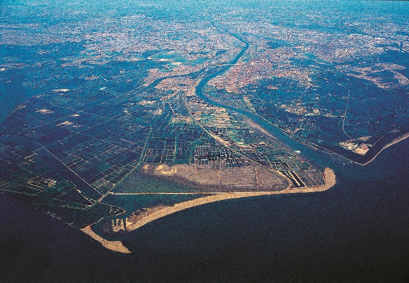 曾文溪口濕地／台管處提供（周民雄攝）