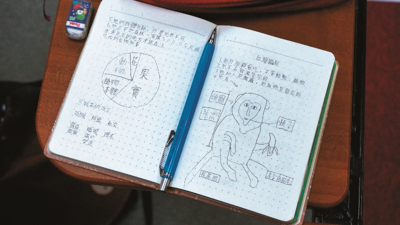  壽山國小學童透過課程，增進對臺灣獼猴的了解／壽籌處提供