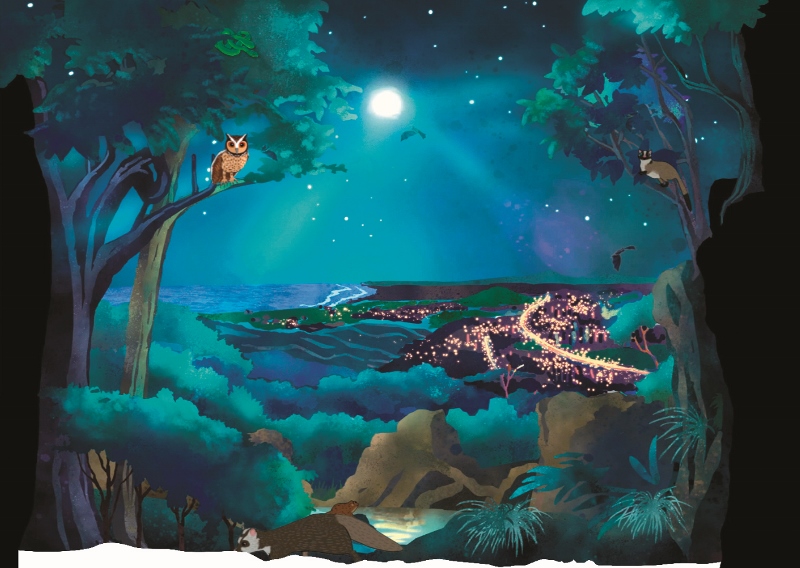 壽山動畫情境舞臺:夜晚,換成白鼻心出沒採食多汁的果實/壽 籌處提供