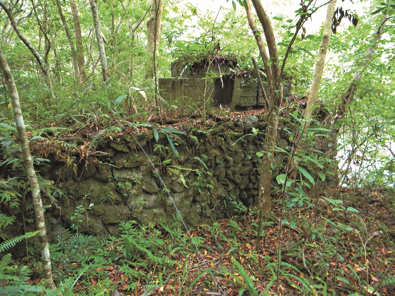 位於溪畔壩南岸上方密林中的「開關所」廢墟