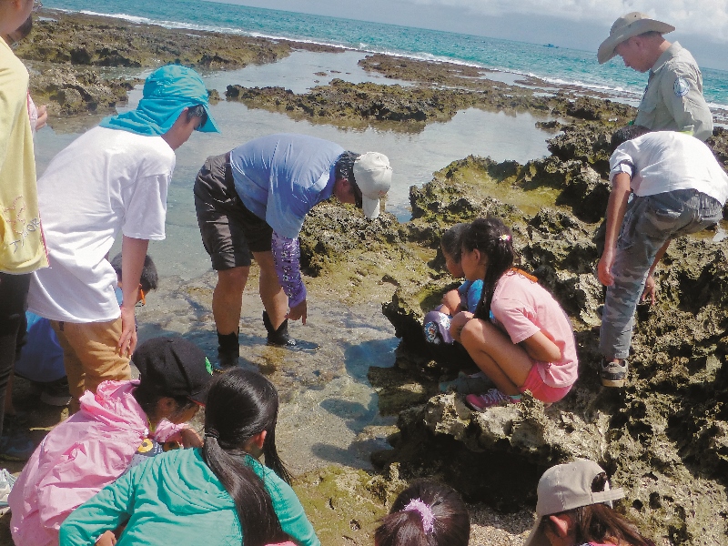 潮間帶生物觀察在解說員的帶領下,應盡量減少對於棲地的破壞或生物的干擾/墾管處提供
