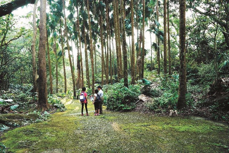 陽明山國家公園天溪園為了維護棲地品質設有入園人數限制