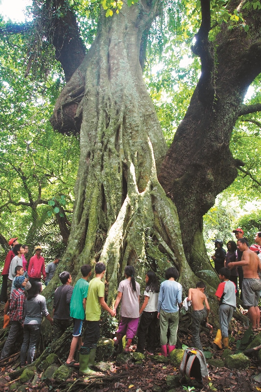 融入自然,我們也是屬於她的一部分