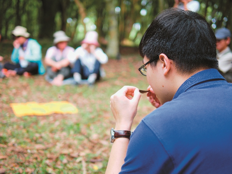 仔細觀察，每一片葉子都是獨一無二