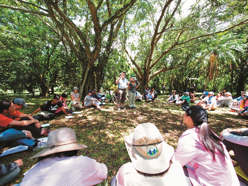 引導參與者打開覺知，並且讓心平緩而祥和