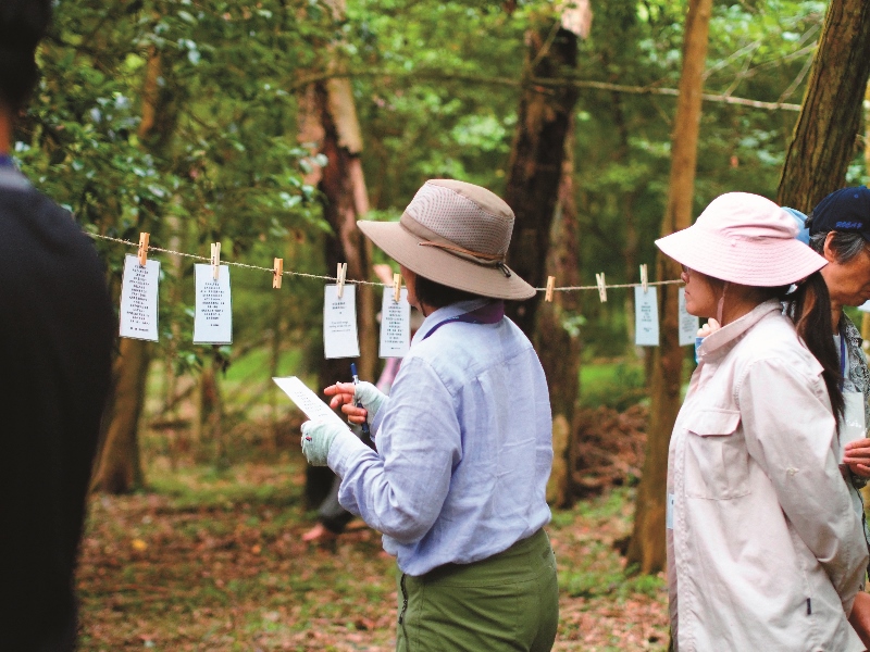 挑選喜愛的詩句或話語，獨自品味文字中的韻味