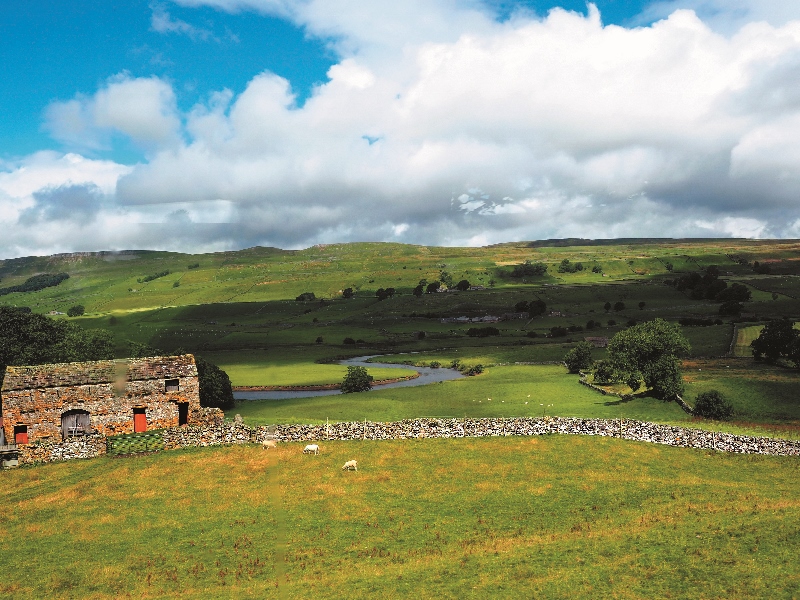 約克郡戴爾國家公園（Yorkshire Dales National Park）乾石牆